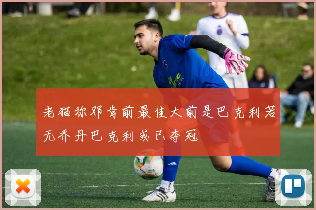 老猫称邓肯前最佳大前是巴克利若无乔丹巴克利或已夺冠